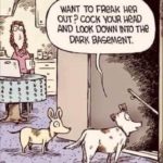 Funny cartoon dogs looking down at the basement